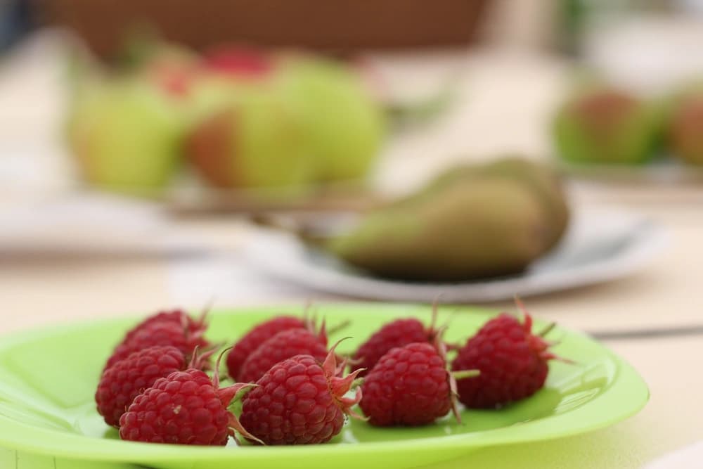 Raspberries on plate for judging at country show
